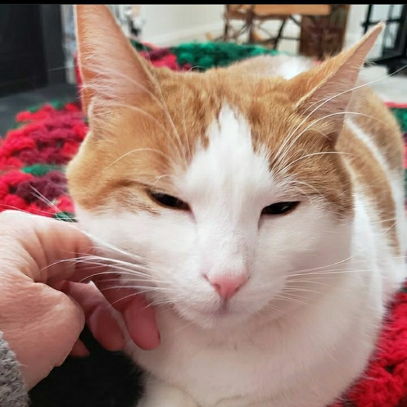 Meet your Posher, Mary - Picture 12 of 14